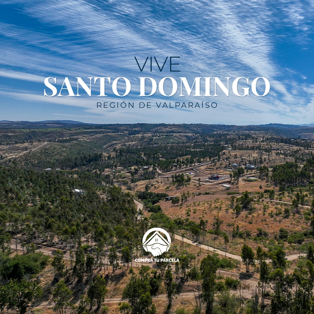 Vive Santo Domingo_6a893af8a3743.jpeg